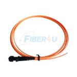 Picture of Pigtail Multi Mode OM1 MTRJ