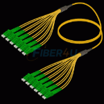Fanout Kablo LC/APC-LC/APC 12 Fiber SM  resmi