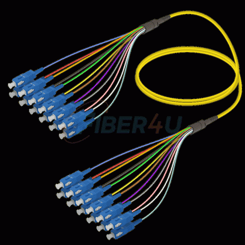 Picture of Fanout Kablo SC/UPC-SC/UPC 12 SM 