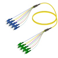 Fanout SM 8 Fiber kategorisi için resim