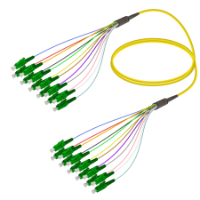 Fanout SM 12 Fiber kategorisi için resim