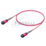 MPO Patchcord Female-Female Base-8 MM OM4  resmi