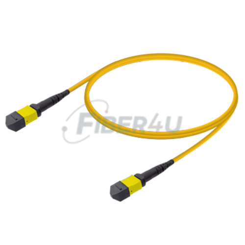MPO Patchcord Female-Female Base-12 SM  resmi