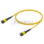Picture of MPO Patchcord Male-Male Base-12 SM 