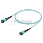 MPO Patchcord Male-Male Base-12 MM OM3  resmi