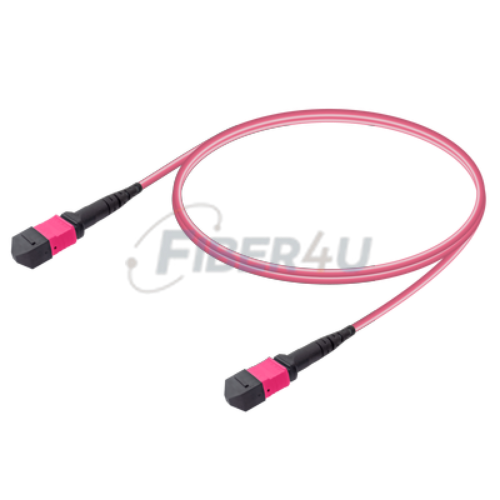 MPO Patchcord Female-Female Base-12 MM OM4  resmi