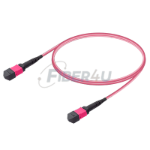 Picture of MPO Patchcord Male-Male Base-12 MM OM4 