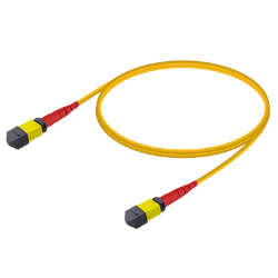 MPO Patchcord Male-Male Base-24 SM  resmi