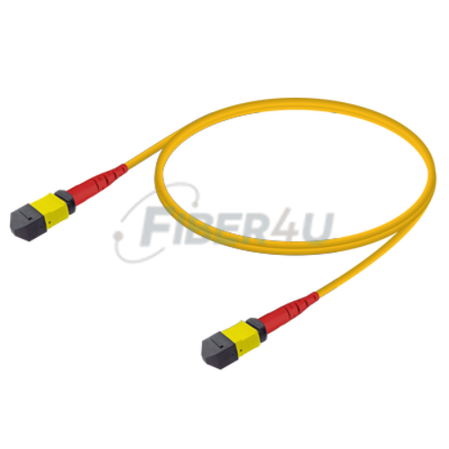 MPO Patchcord Male-Male Base-24 SM  resmi
