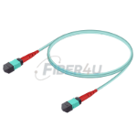 Picture of MPO Patchcord Female-Female Base-24 MM OM3 