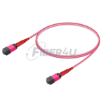 MPO Patchcord Female-Female Base-24 MM OM4  resmi