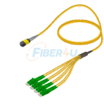 MPO Patchcord Male-LC/APC Base-8 SM  resmi