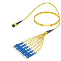 MPO Patchcord Male-LC/UPC Base-12 SM  resmi