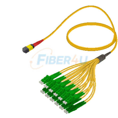 Picture of MPO Patchcord Male-LC/APC Base-24 SM 