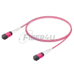 MPO Patchcord Male-Male Base-16 MM OM4  resmi