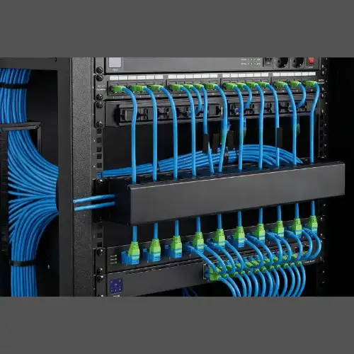 Picture of 1U Horizontal Cable Organizer with Cover
