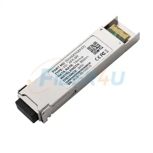Dell Force10 GP-XFP-1S Uyumlu XFP (300m) resmi
